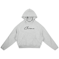 Curved Panel Raglan Hoodie ODMPOD